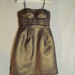 Max and Cleo Metallic Gold/Black Womens Special Event Dress Size 2